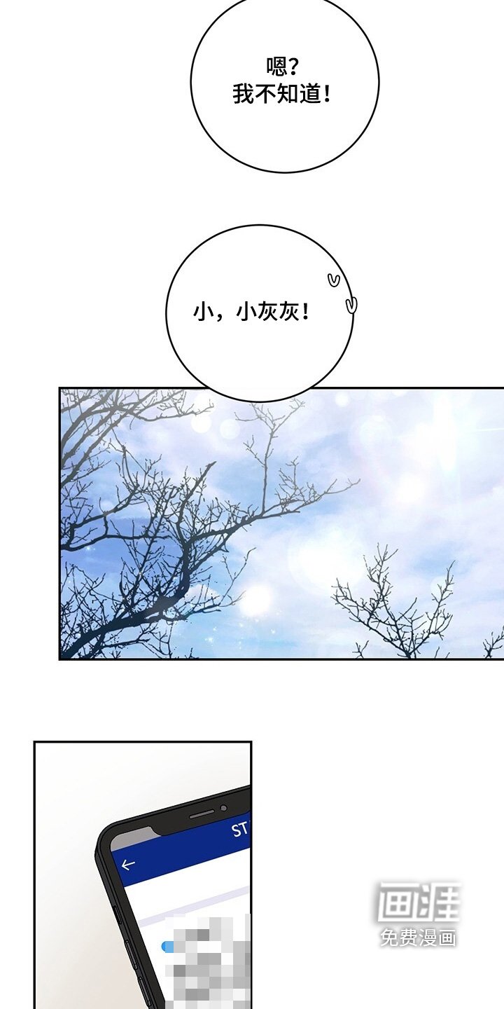 第97章：【番外】开始吧