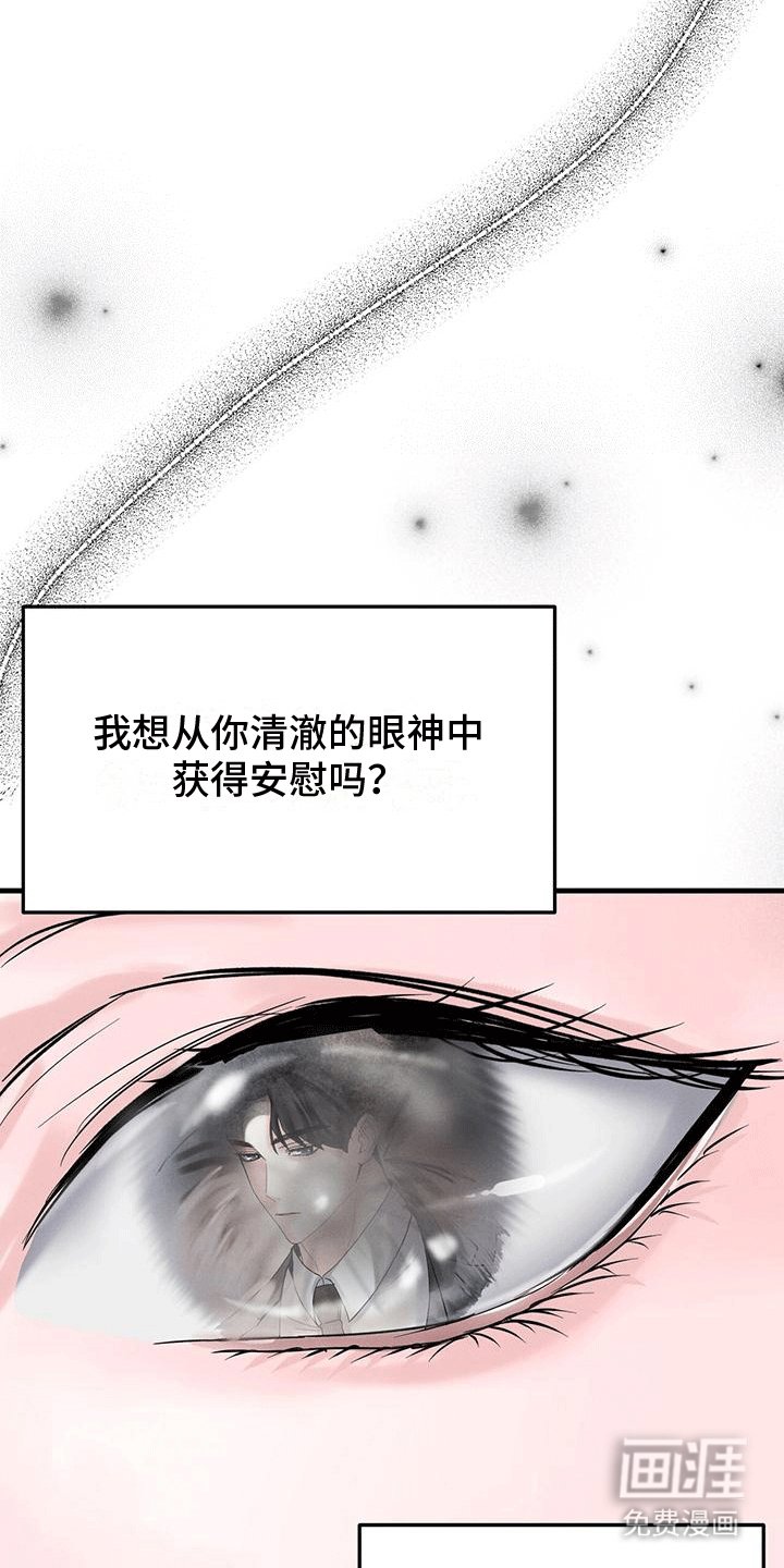 第11章：招揽