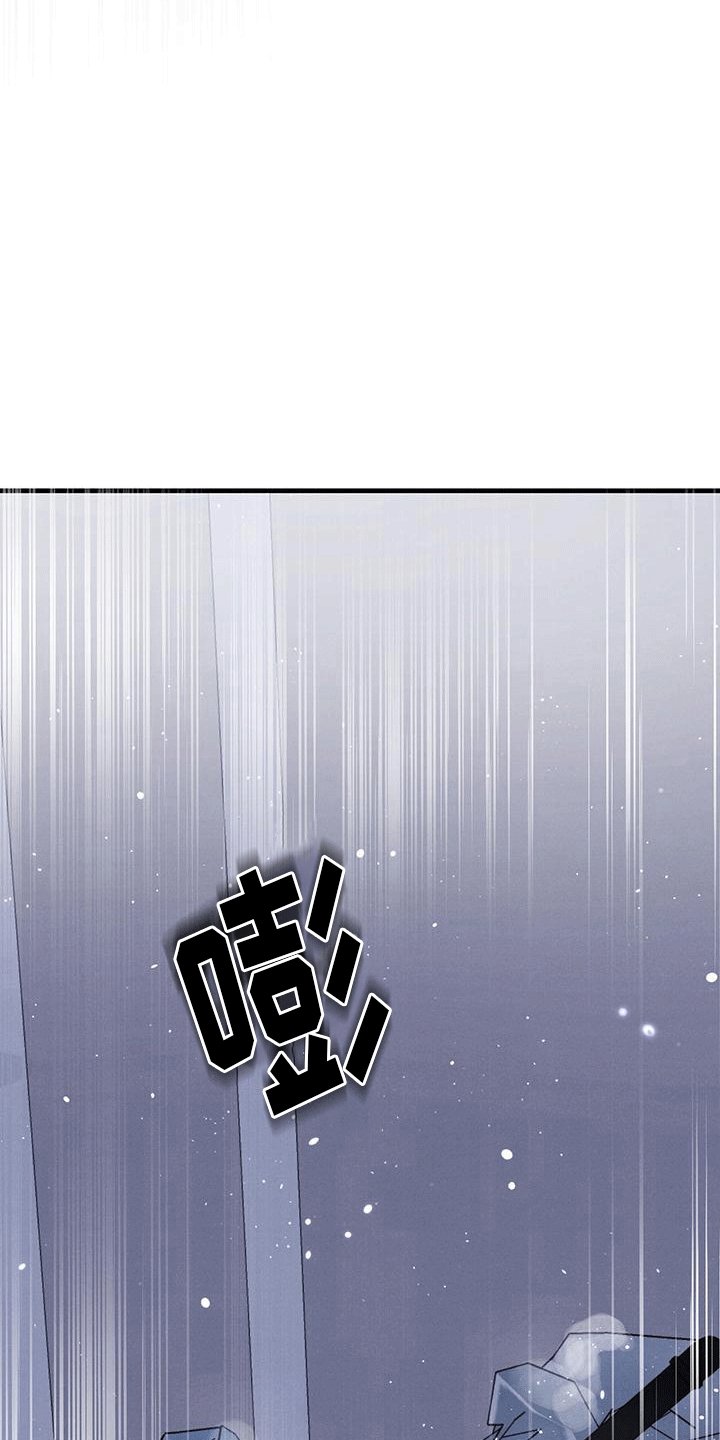 第12章：丢弃