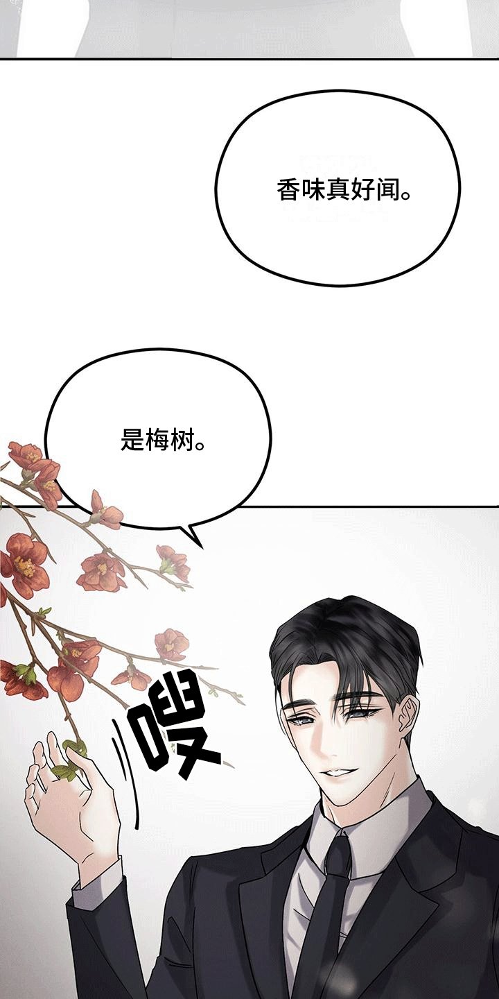 第19章：嫉妒
