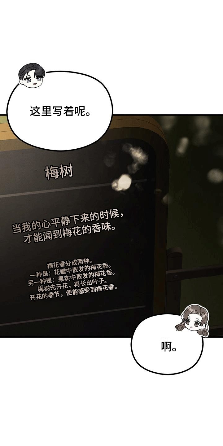 第19章：嫉妒
