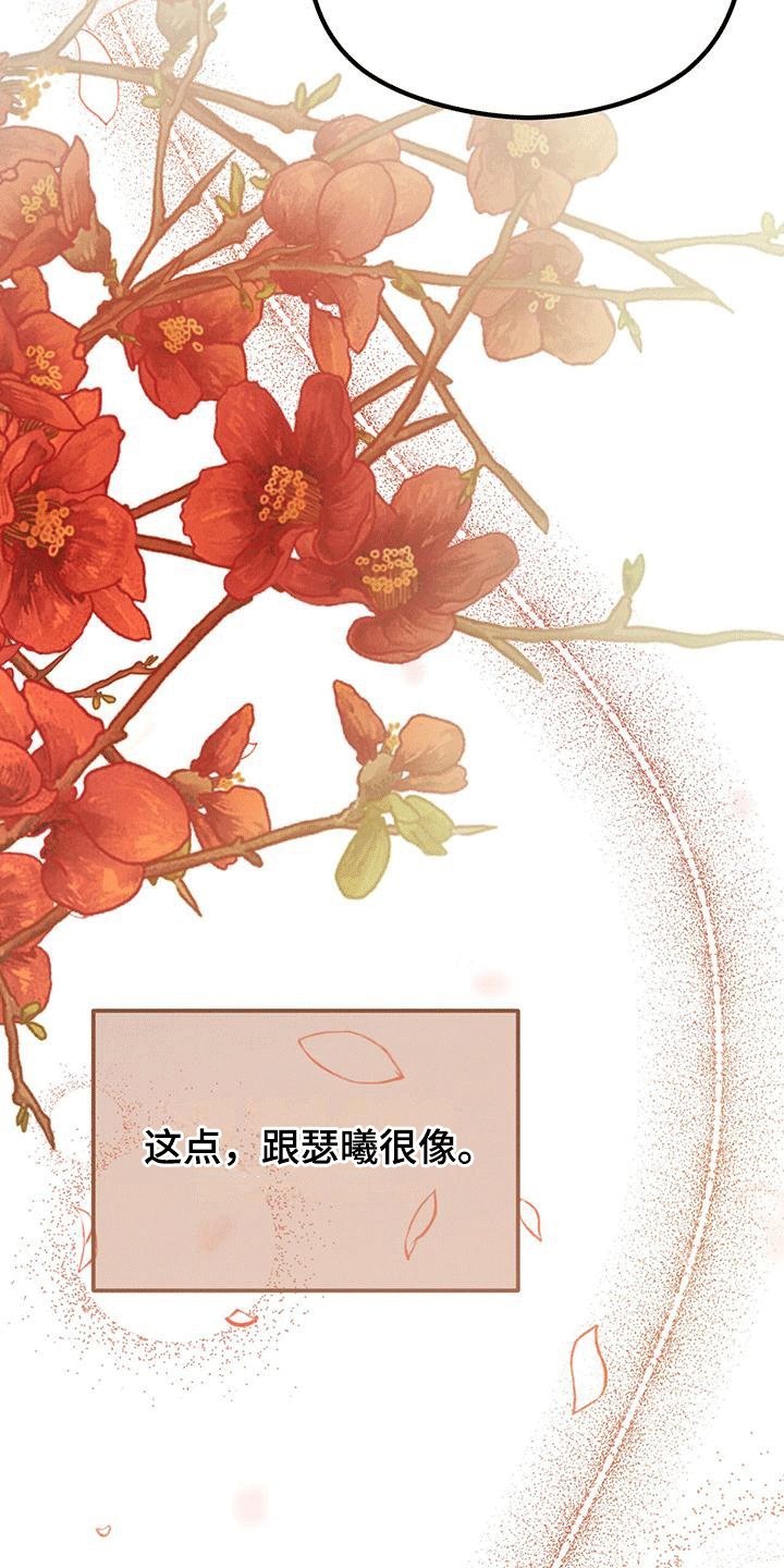 第19章：嫉妒