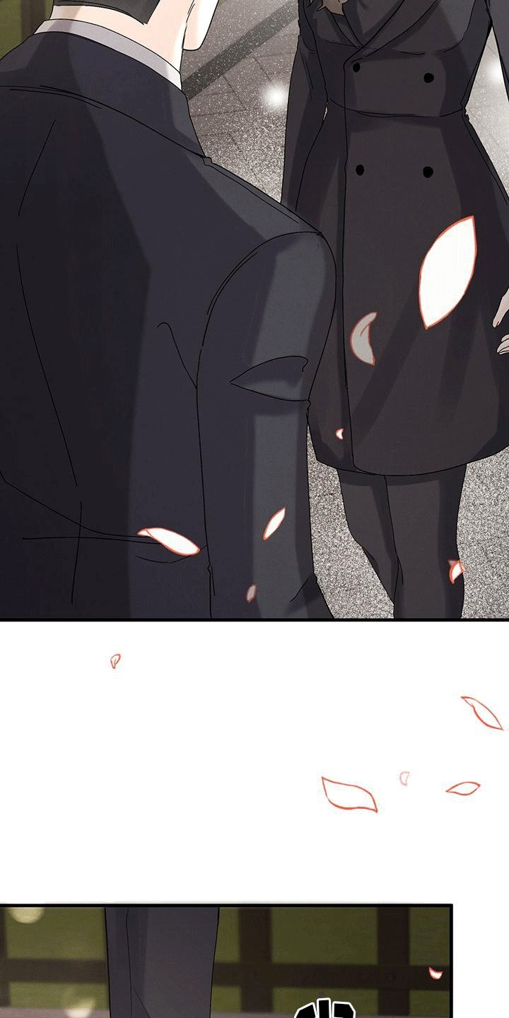 第19章：嫉妒