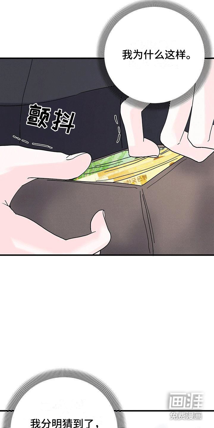 第20章：撒谎