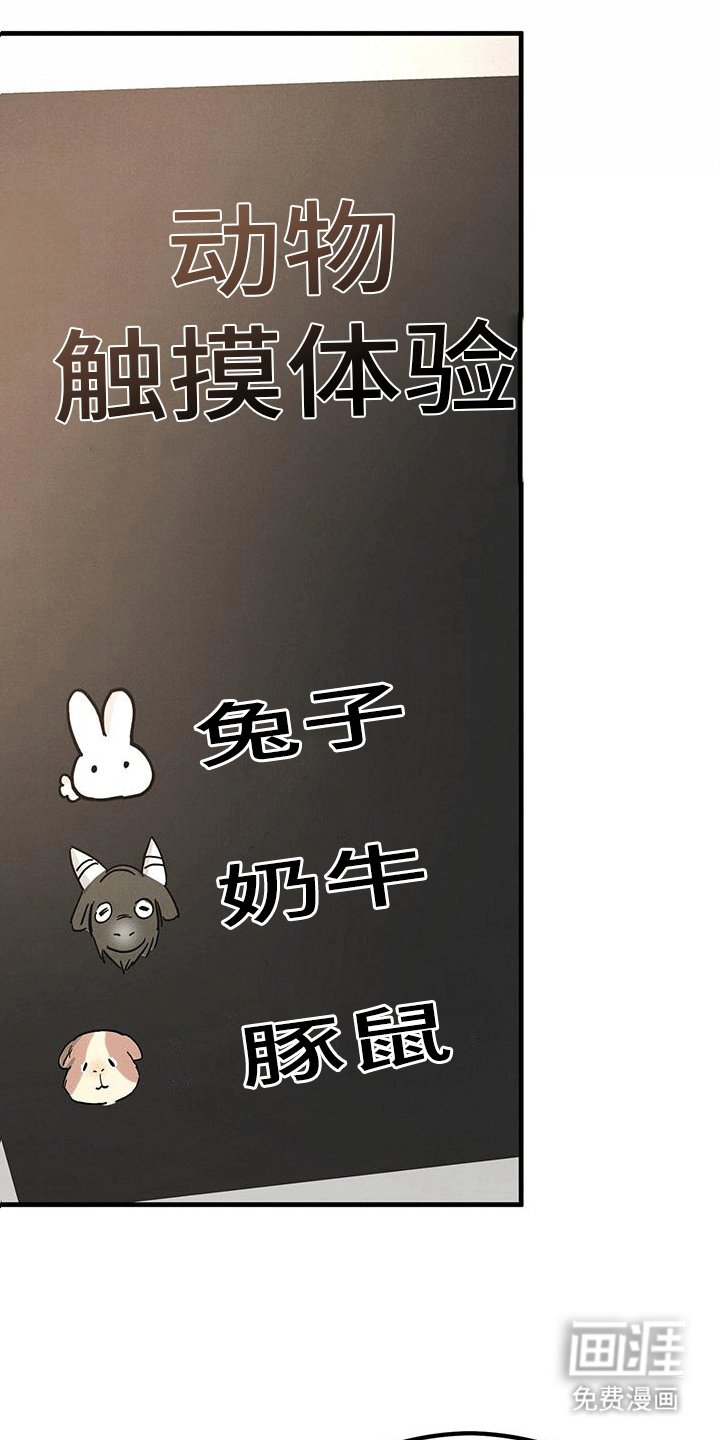 第23章：动物园
