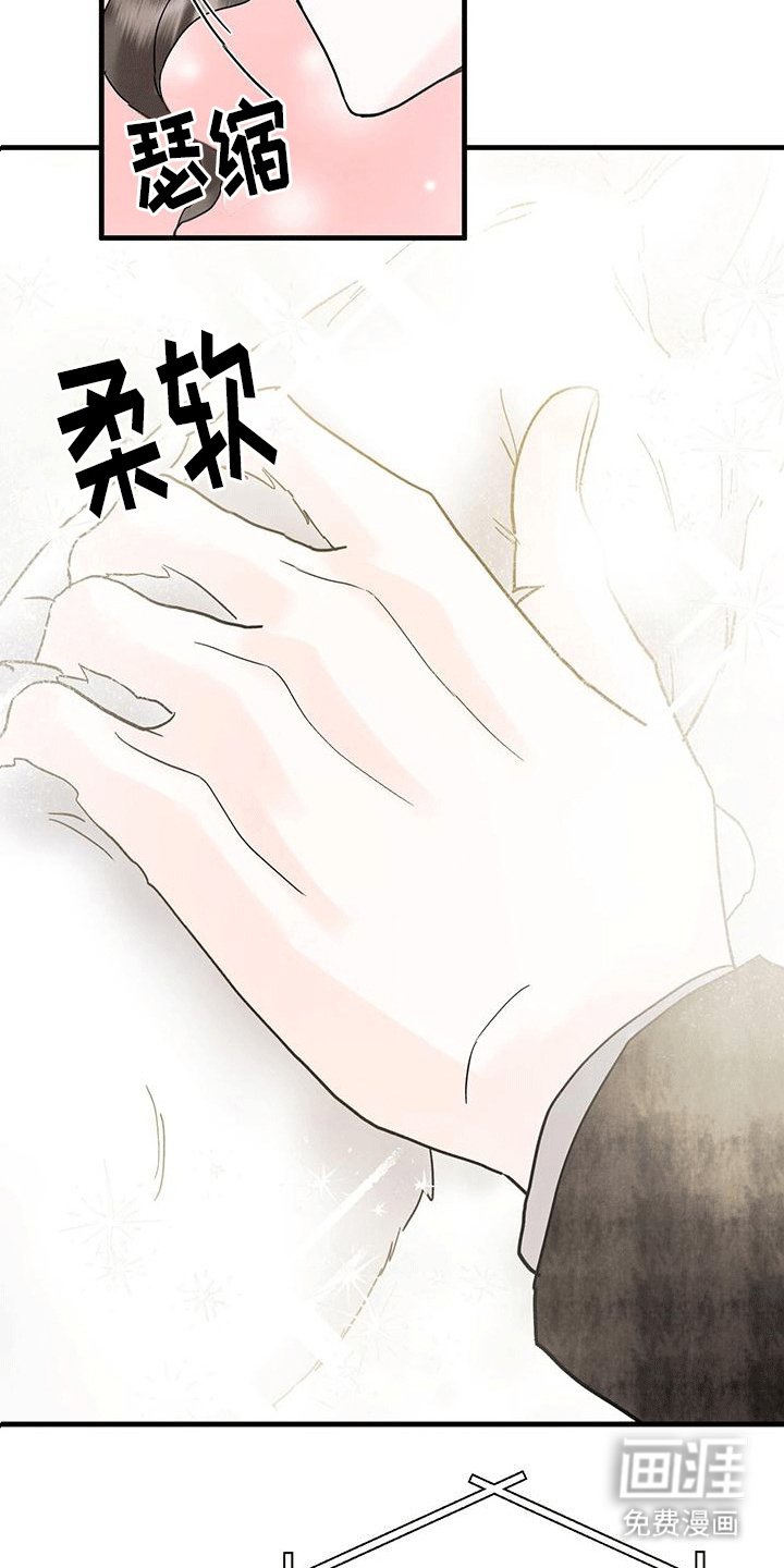 第23章：动物园