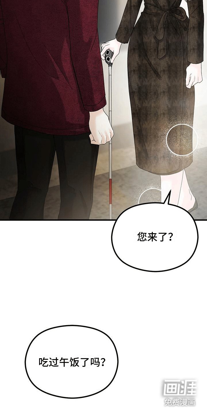 第23章：动物园