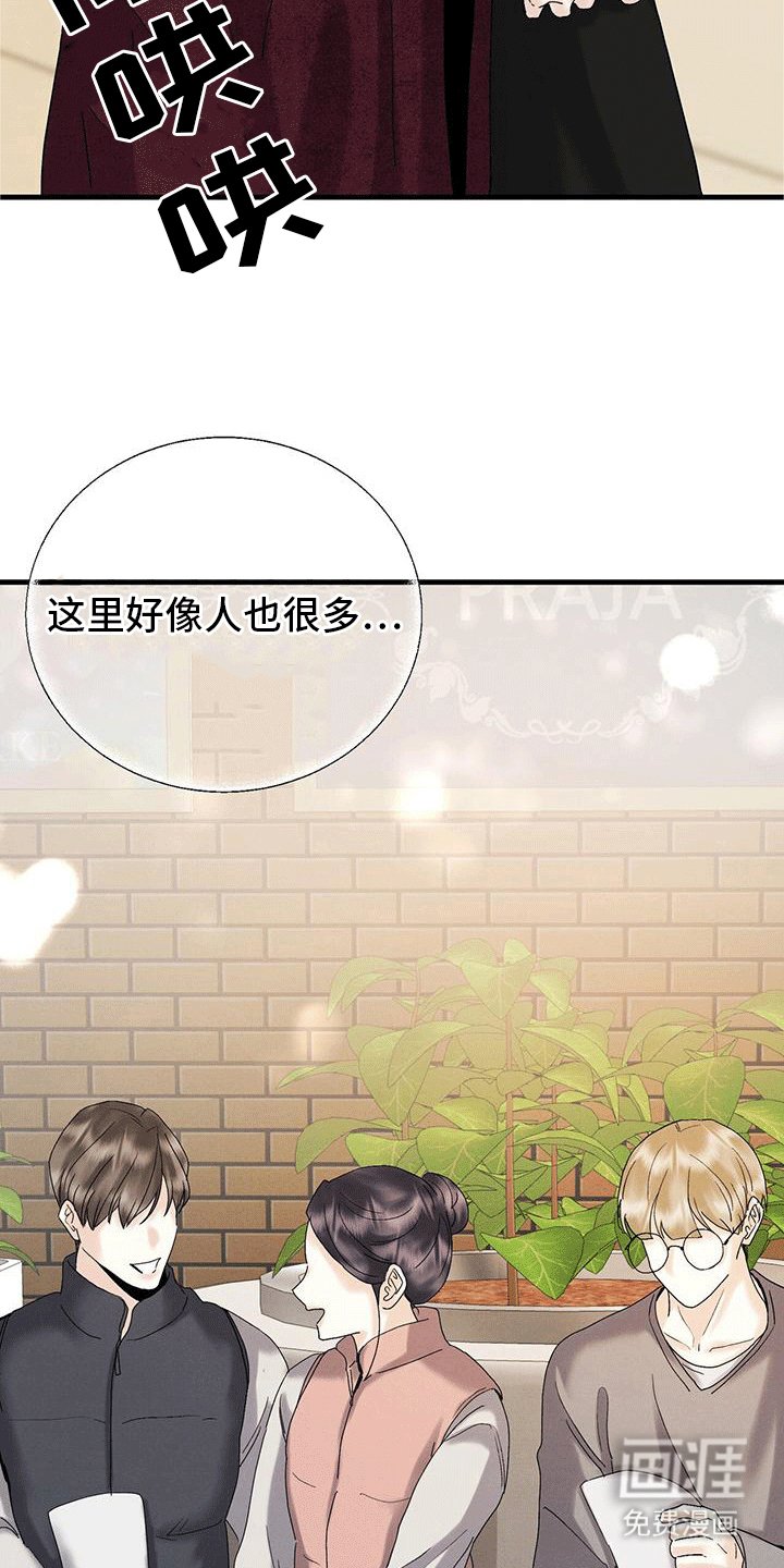 第25章：音乐会