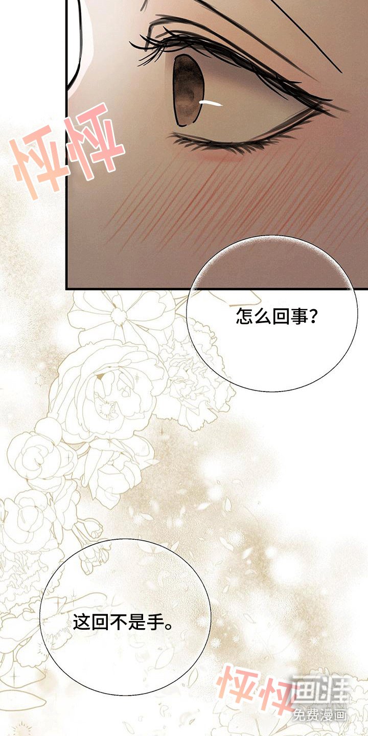 第26章：测体温