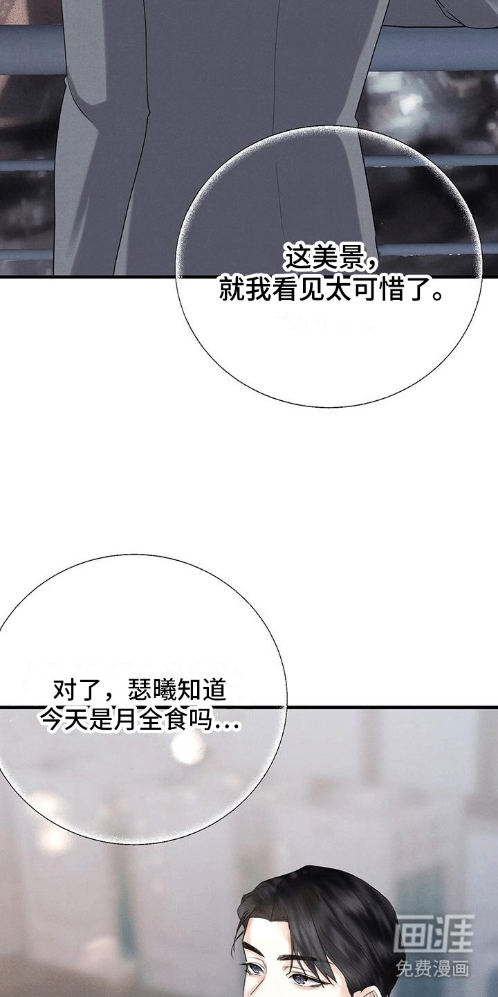 第27章：月全食