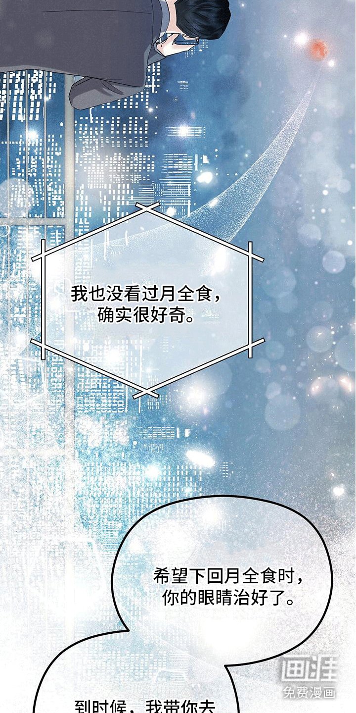 第28章：玫瑰花