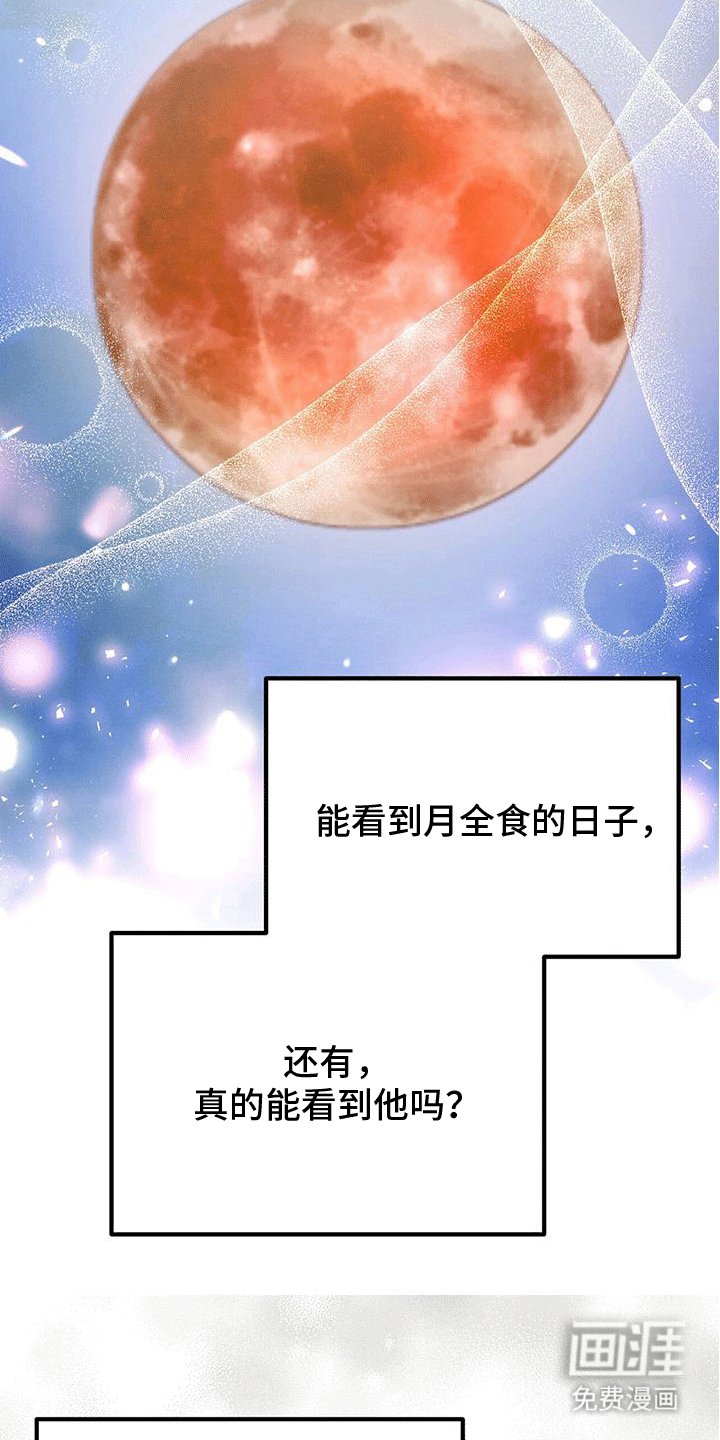 第28章：玫瑰花