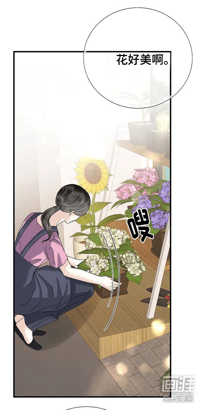 第28章：玫瑰花