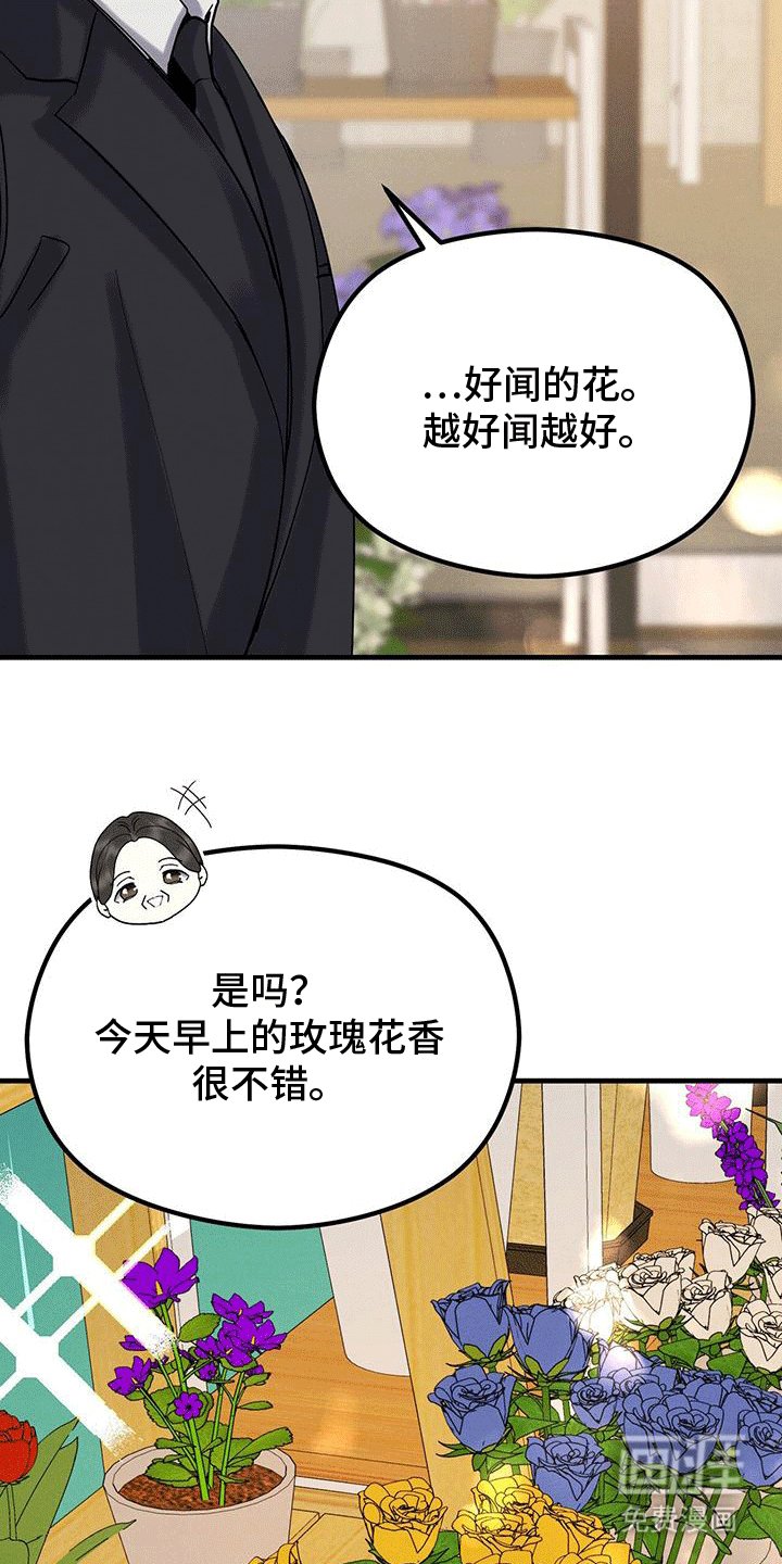 第28章：玫瑰花