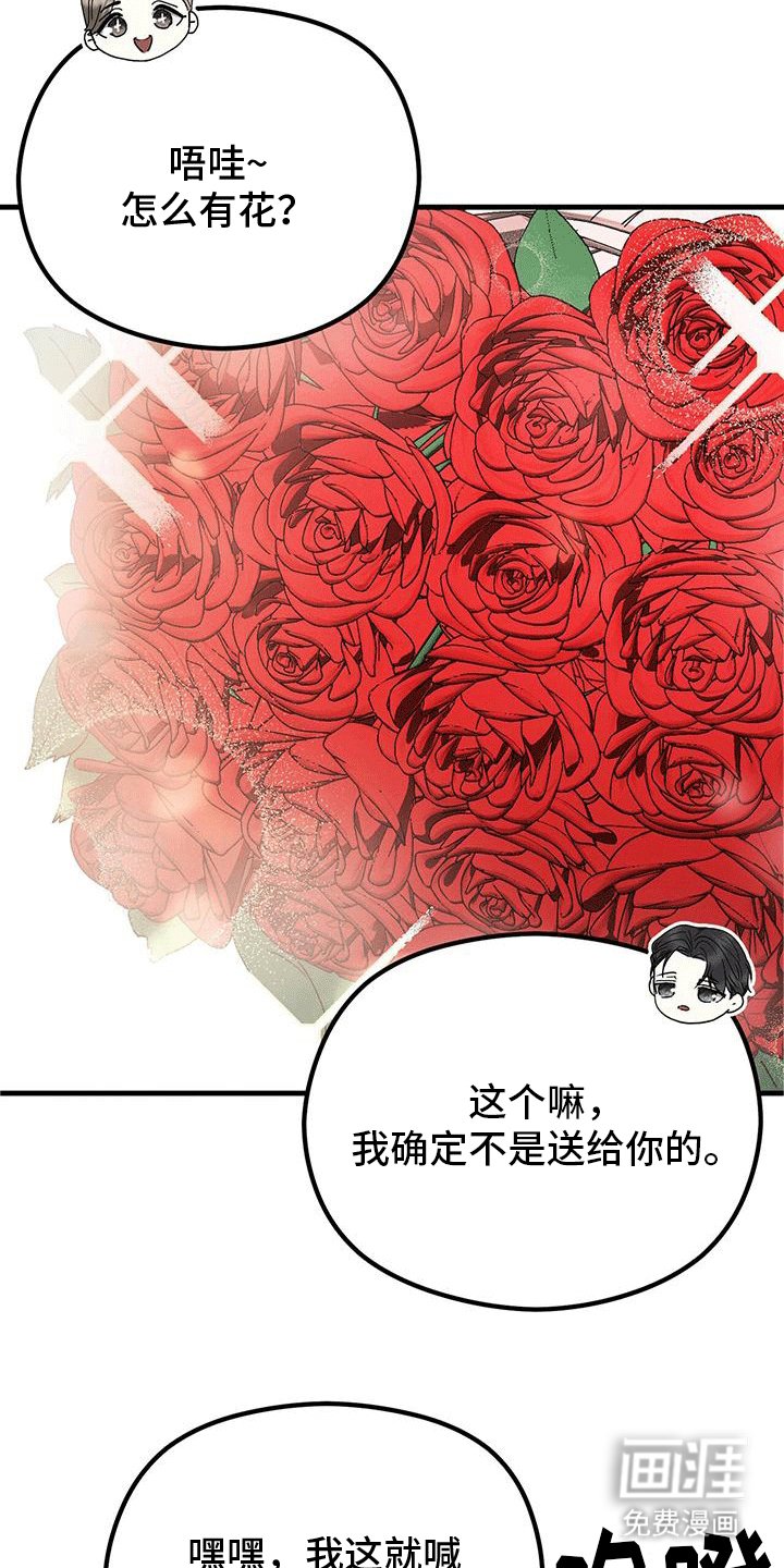 第28章：玫瑰花