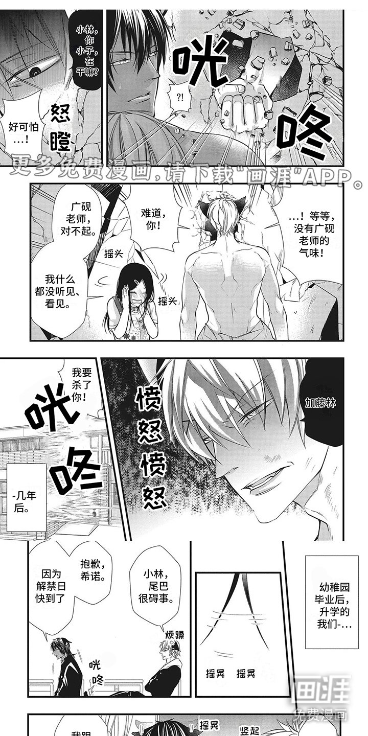 第13章：达成连接