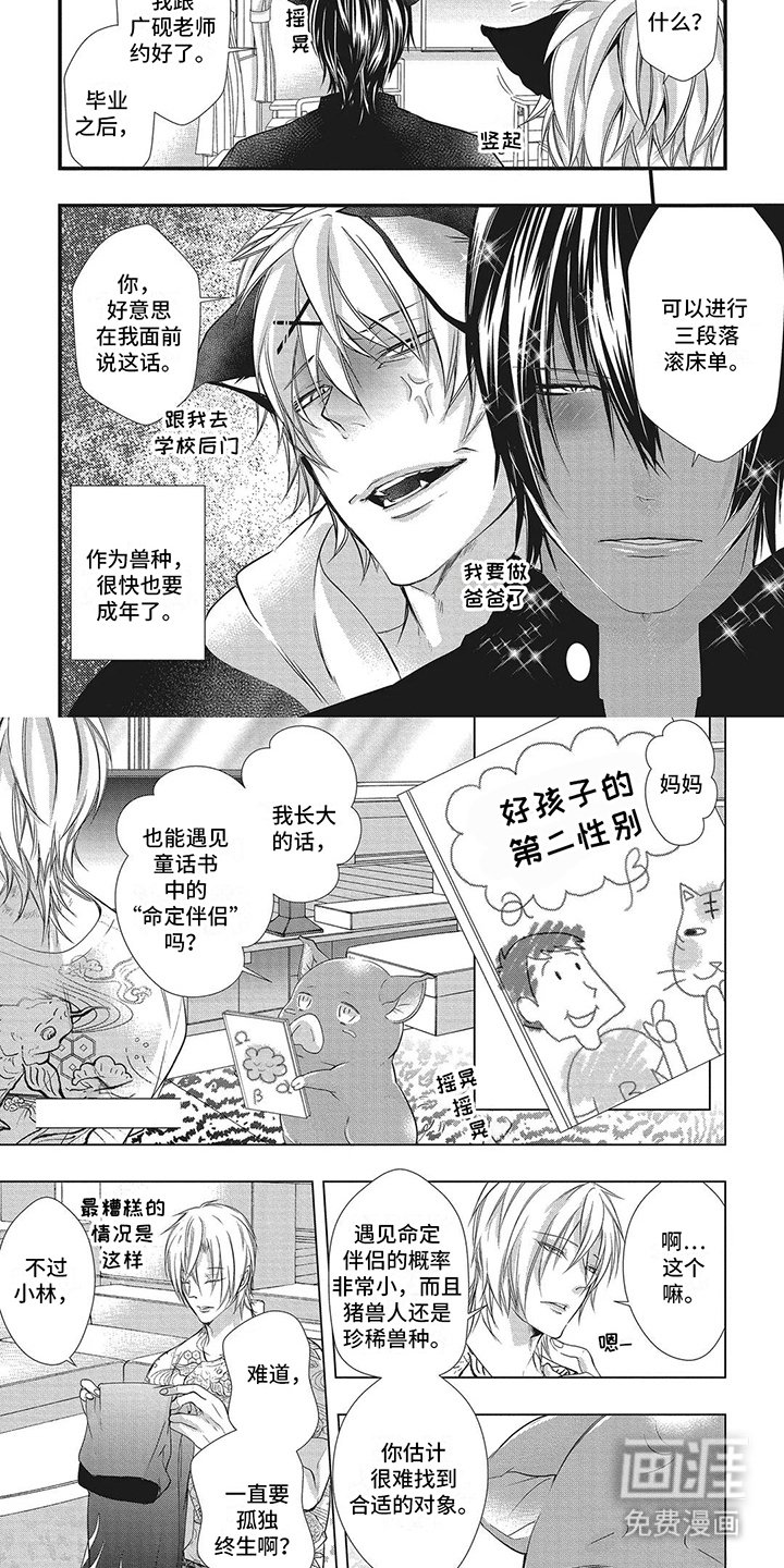 第13章：达成连接