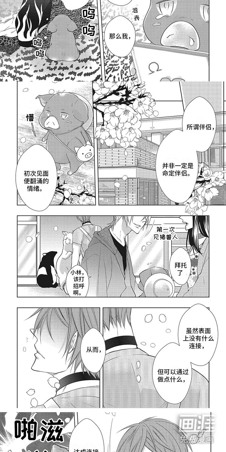 第13章：达成连接