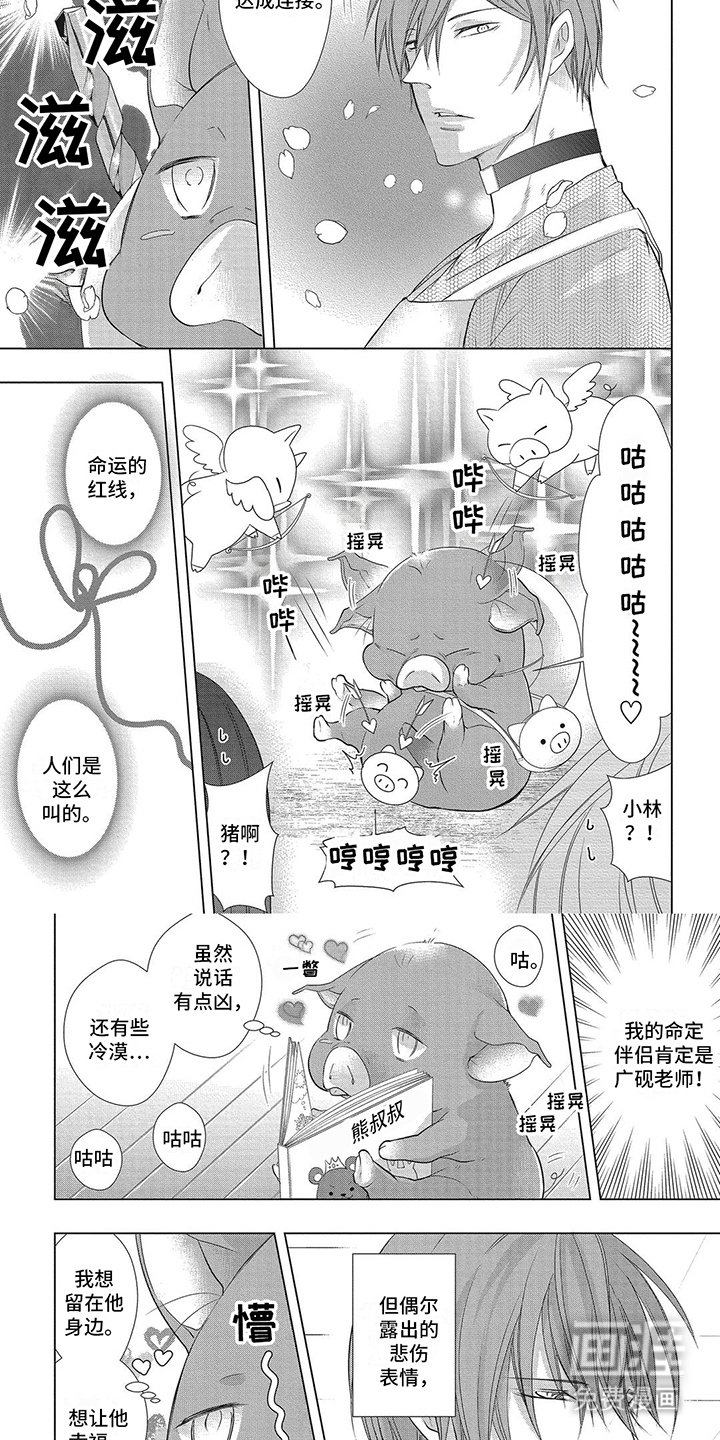 第13章：达成连接
