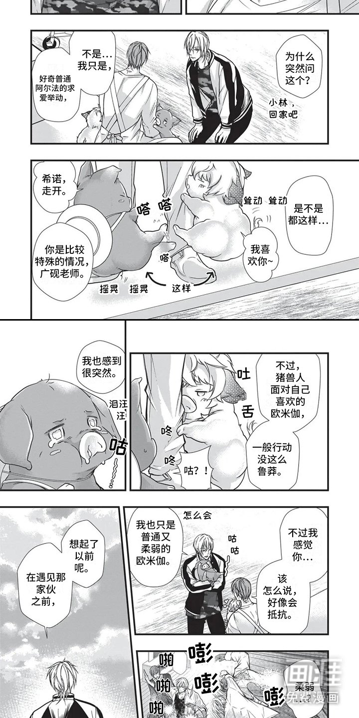 第17章：回忆