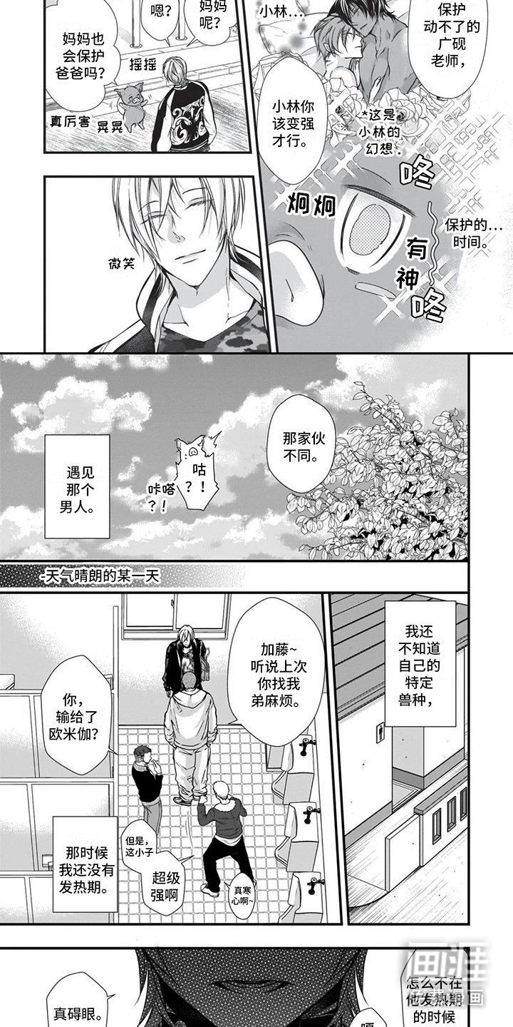 第17章：回忆