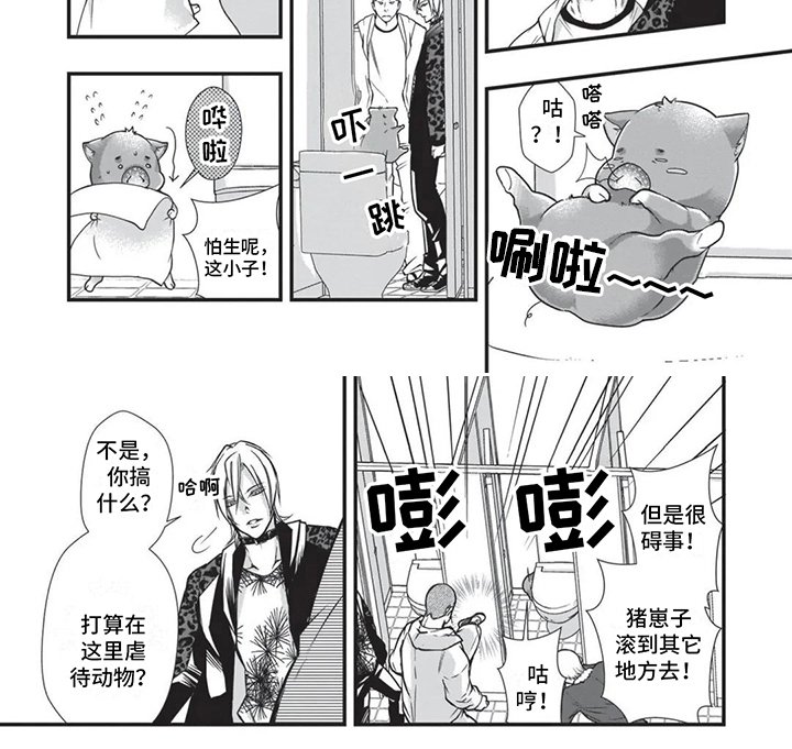 第17章：回忆