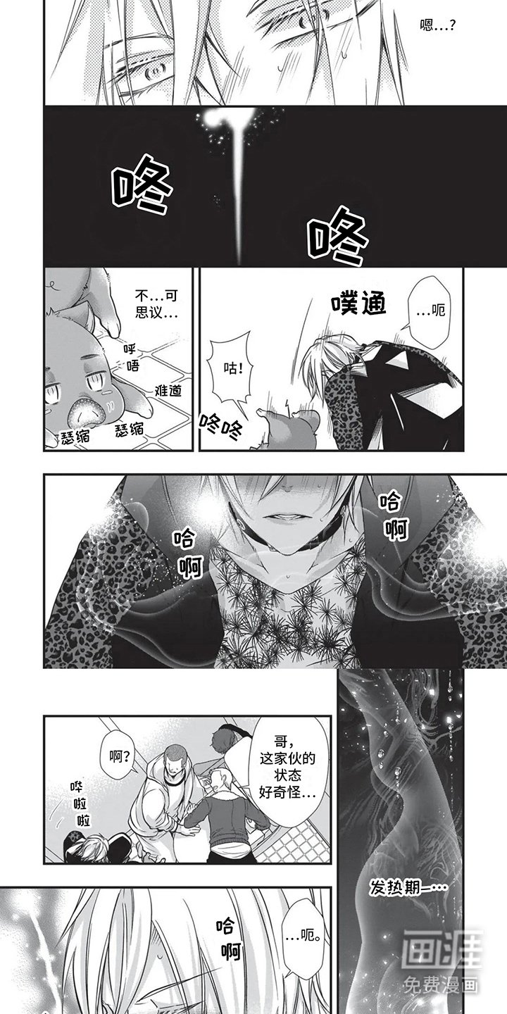 第18章：异国风情