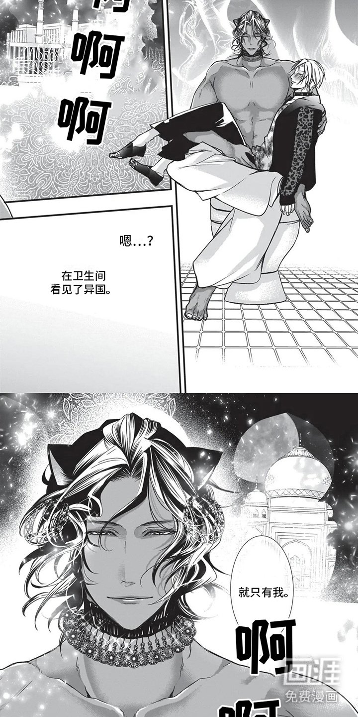 第18章：异国风情