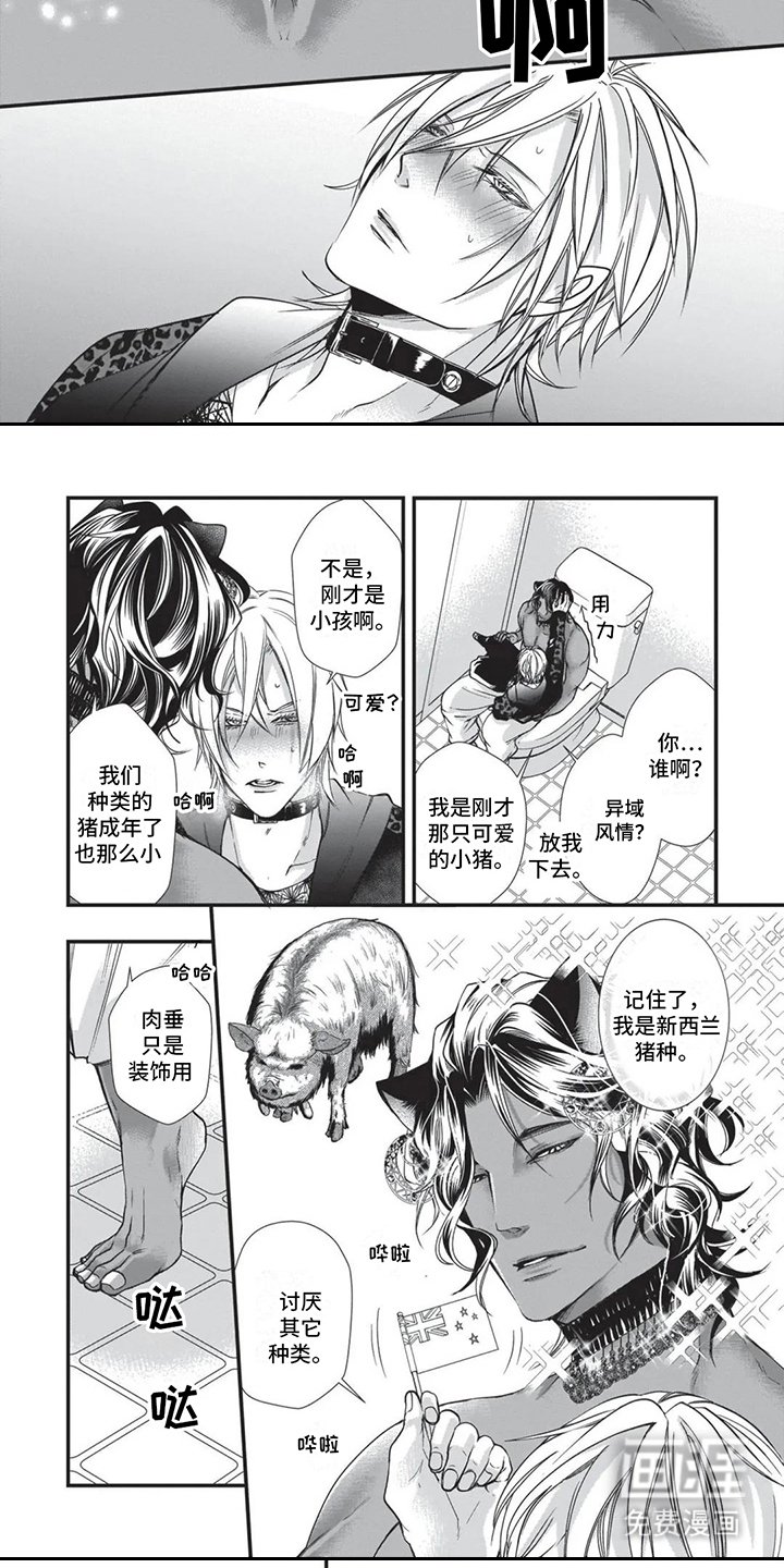第18章：异国风情