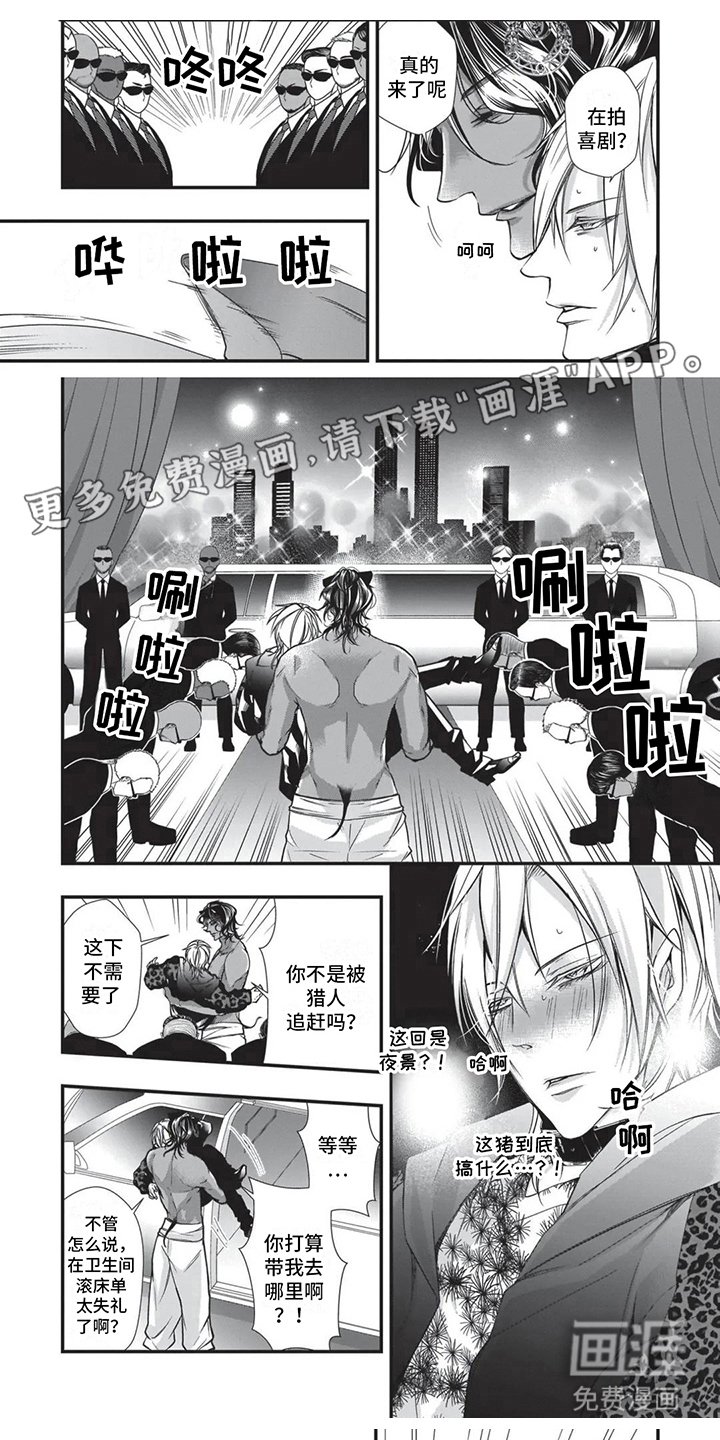 第19章：命定伴侣 