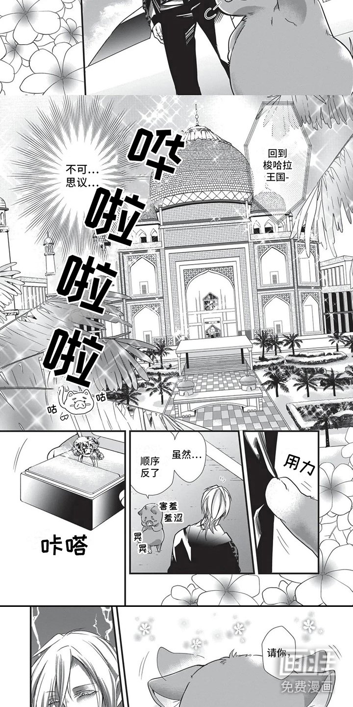 第19章：命定伴侣 