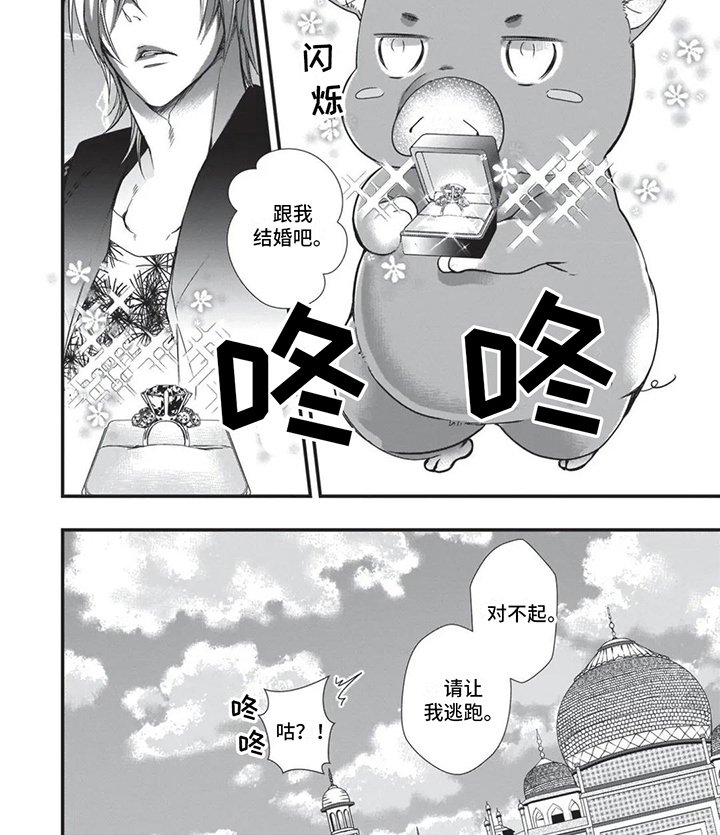 第19章：命定伴侣 