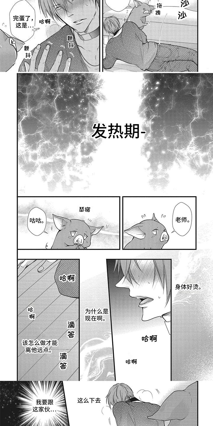 第2章：发热期