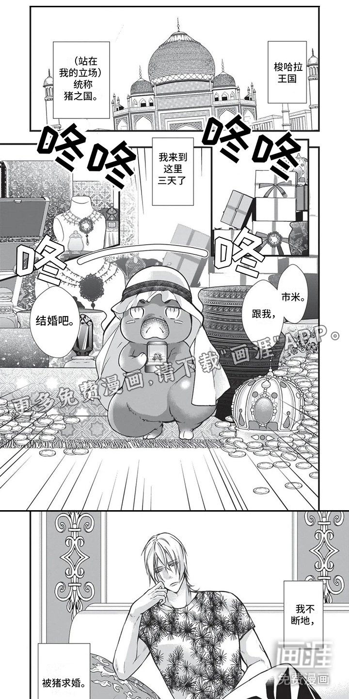 第20章：补偿
