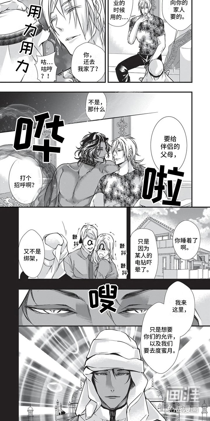 第20章：补偿
