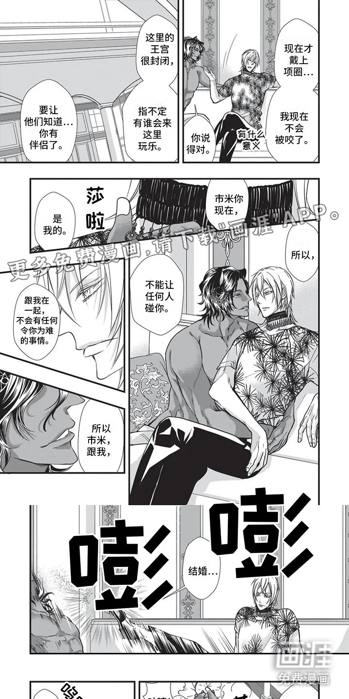 第21章：讨厌斗争