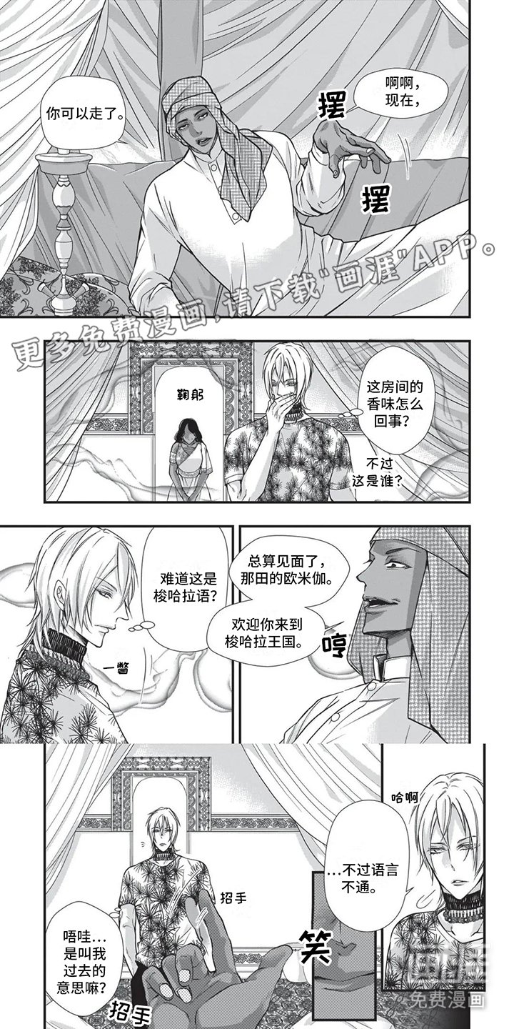 第22章：下马威