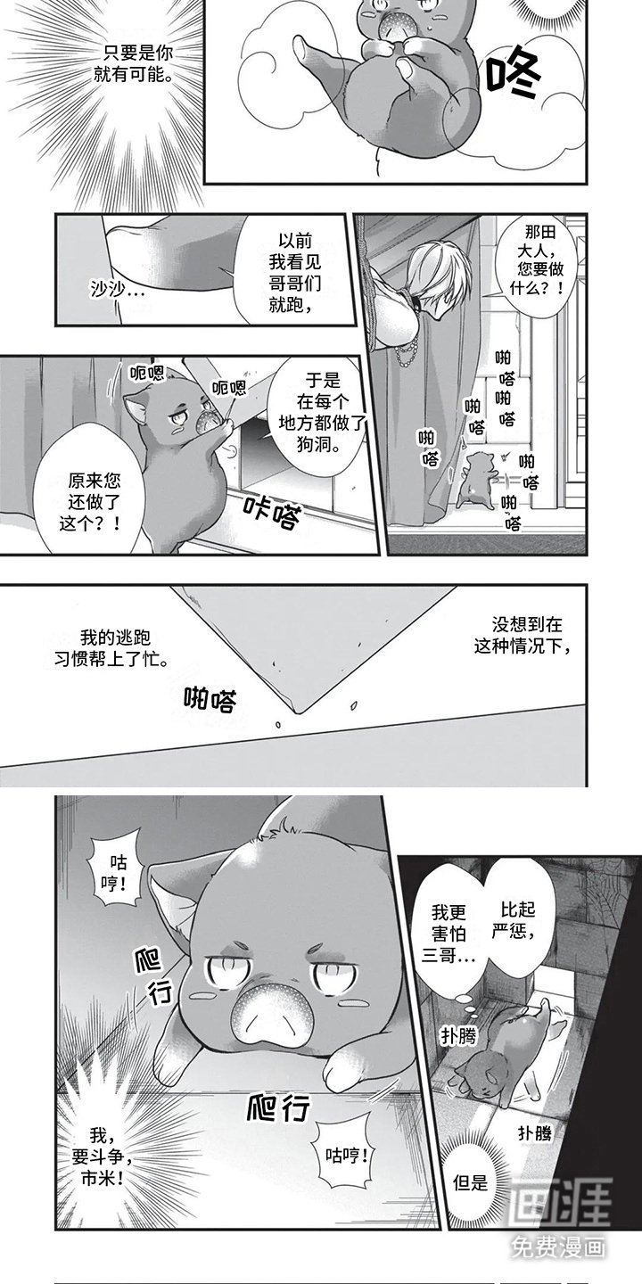 第23章：狗洞