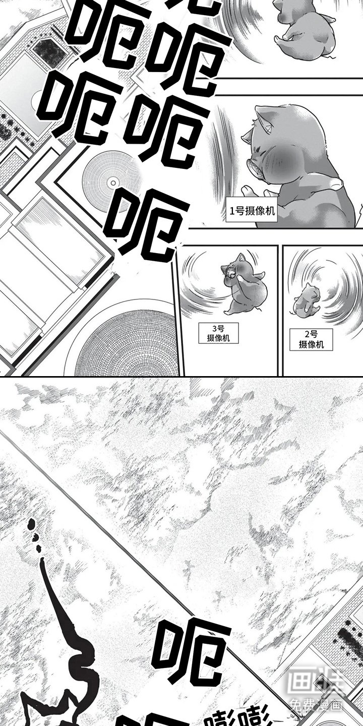 第25章：必杀技