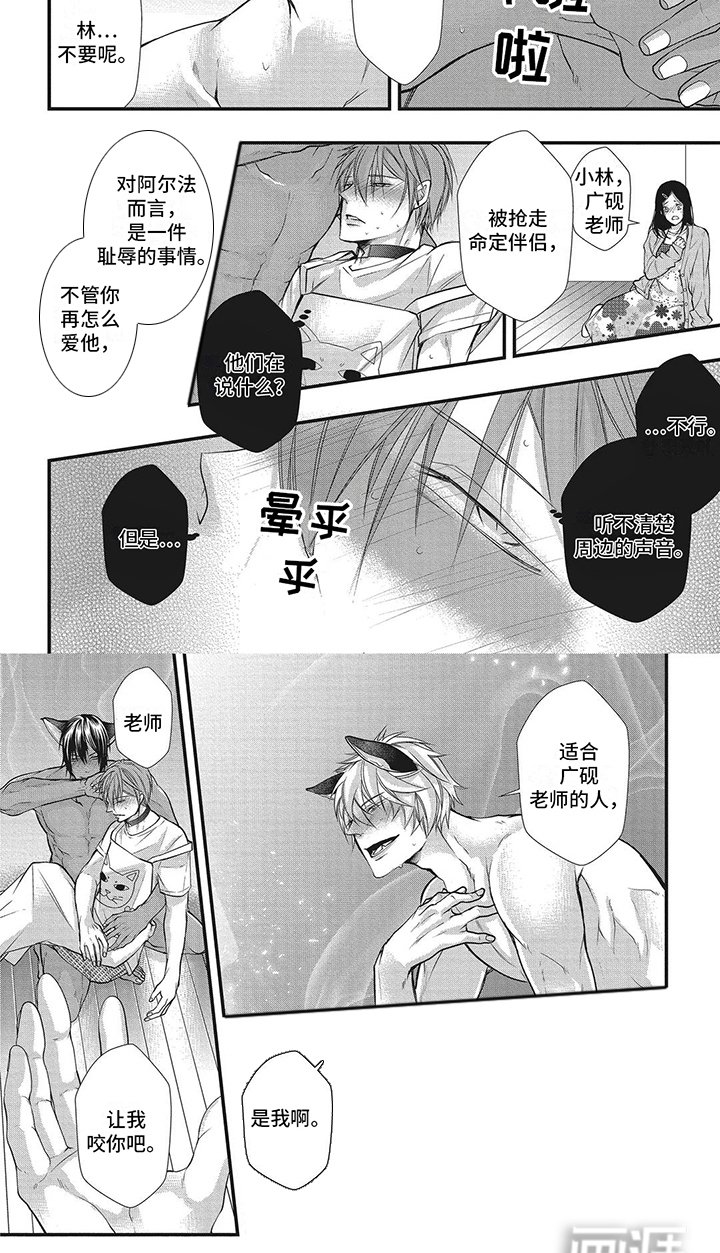 第9章：争夺