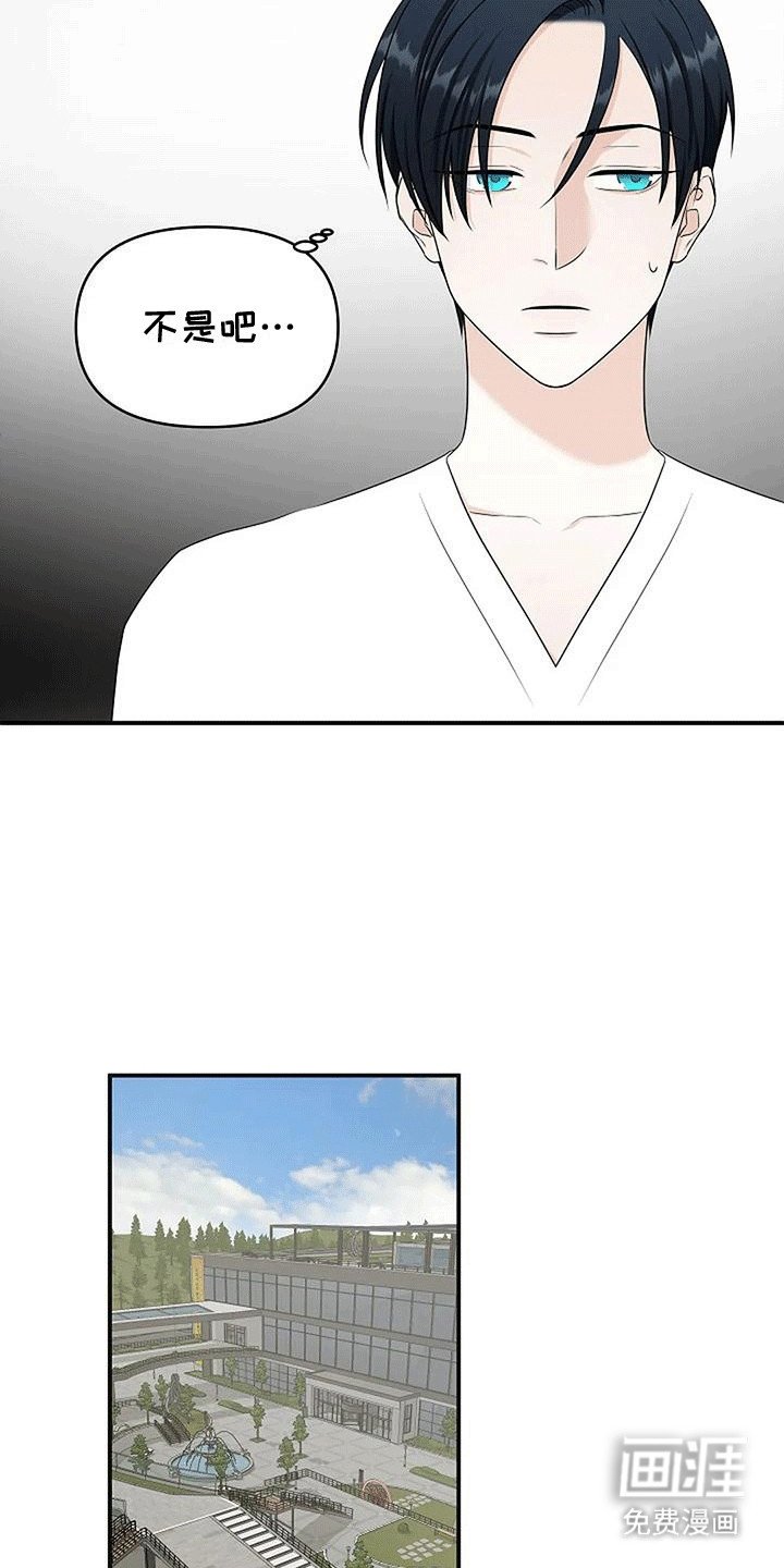 第11章：喜欢他吗