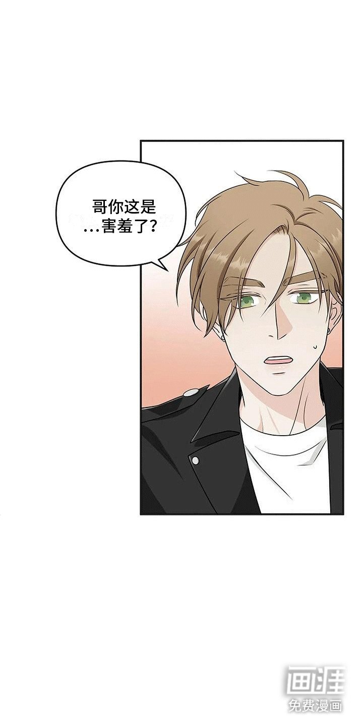 第15章：告白