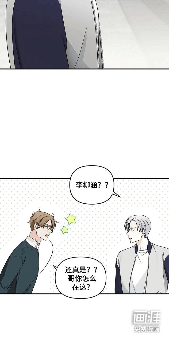 第20章：帮助