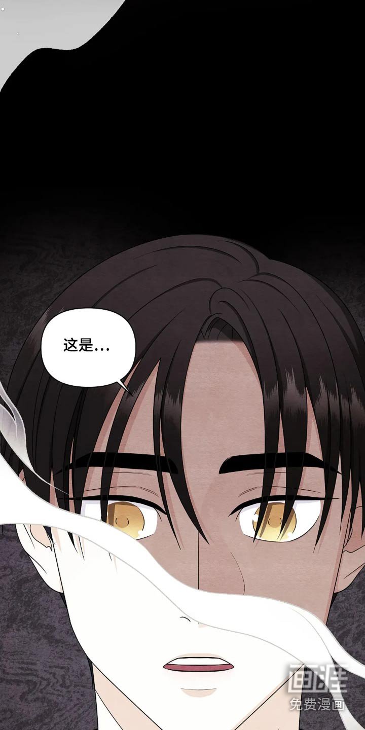 第36章：你看见了嘛