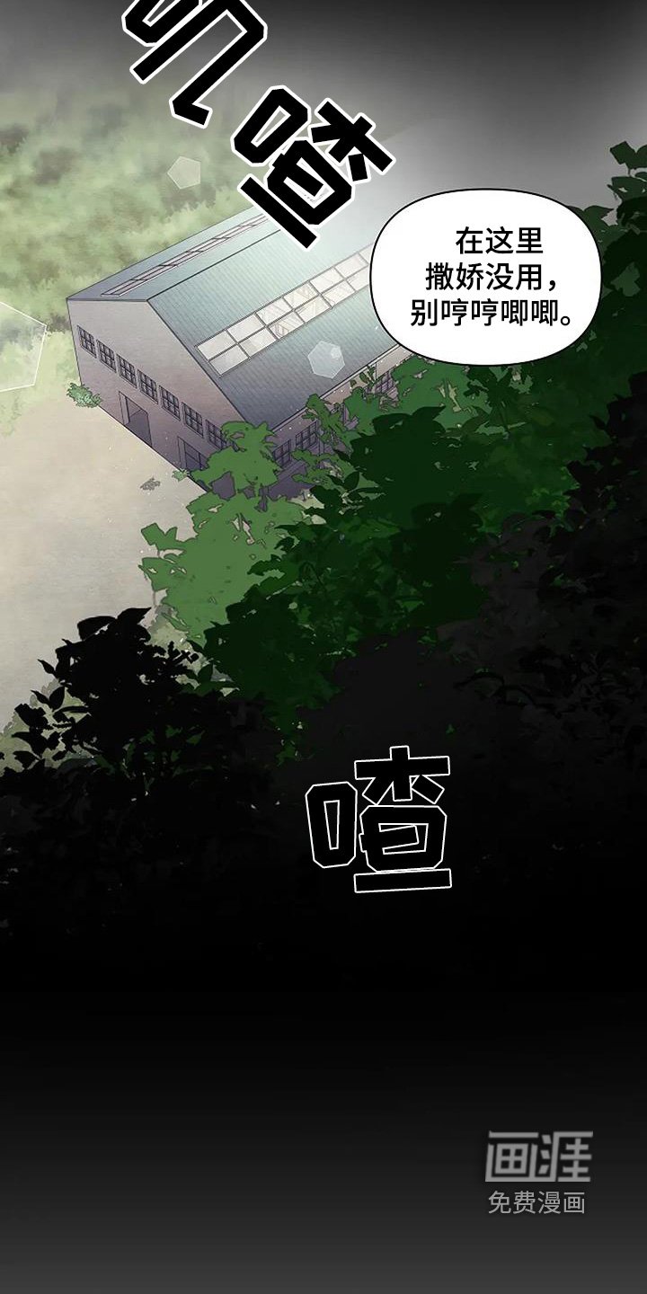 第69章：你醒了