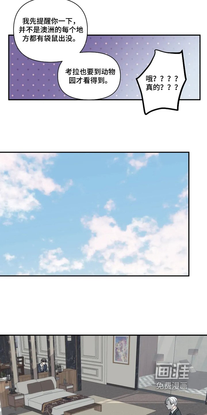 第90章：视频
