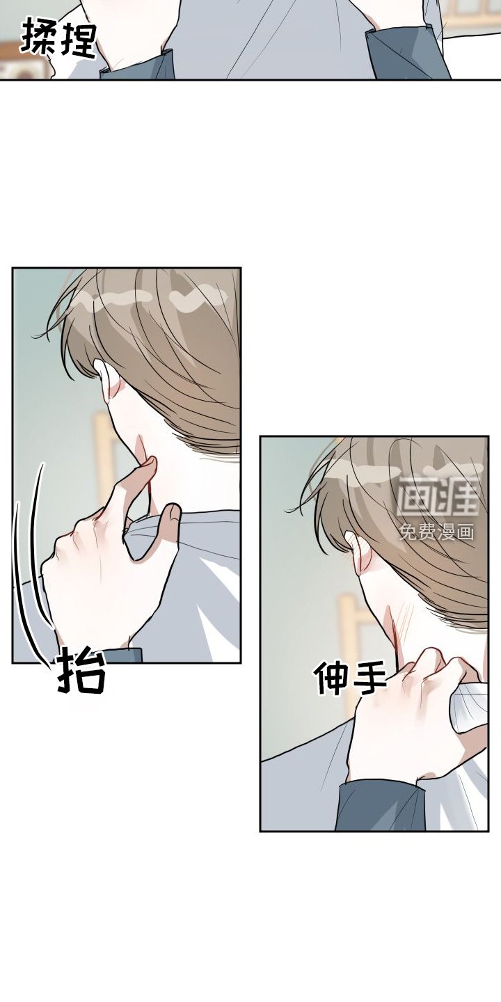 第16章：触碰