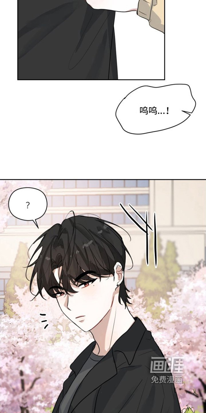 第4章：重逢