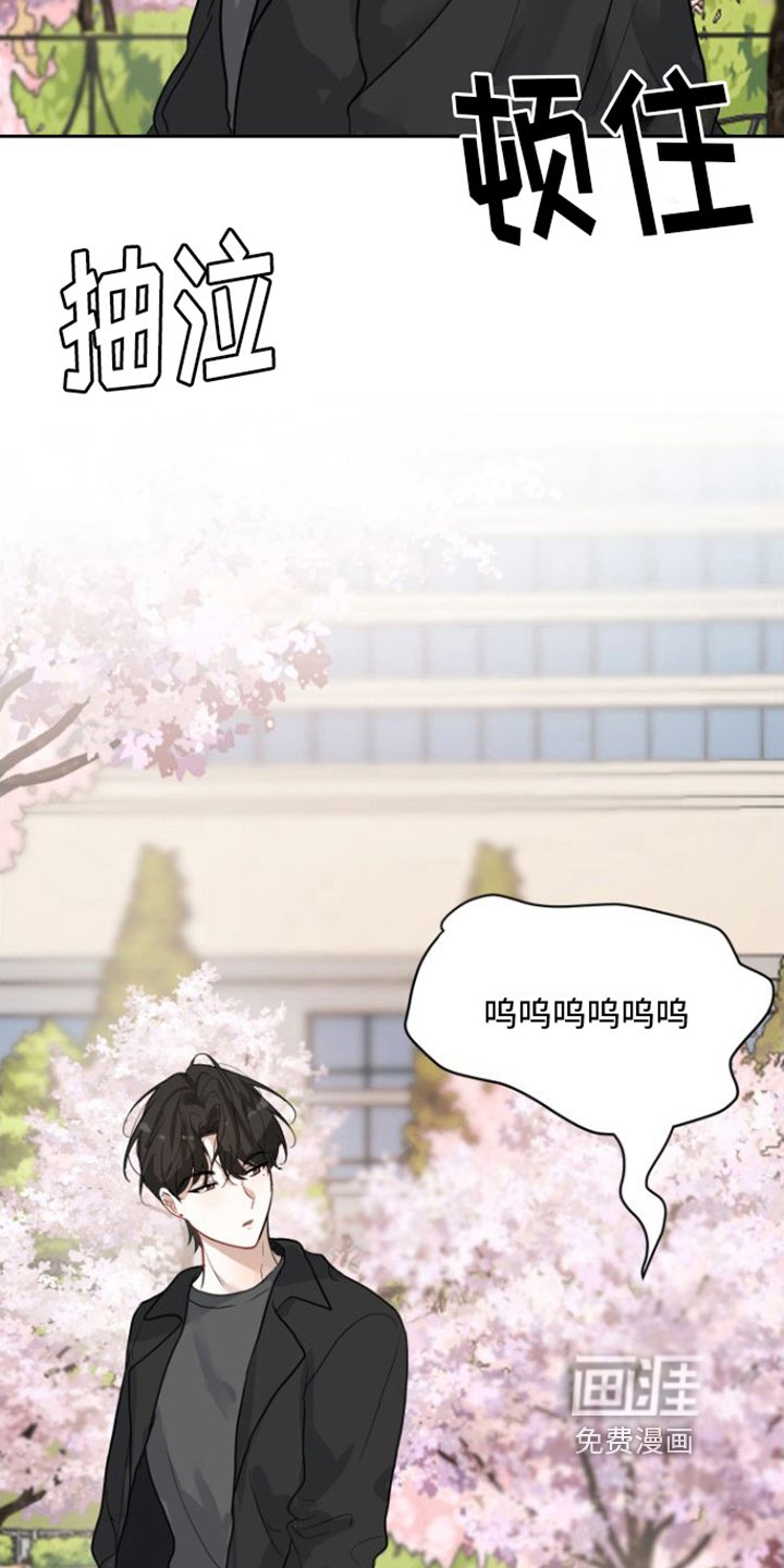 第4章：重逢