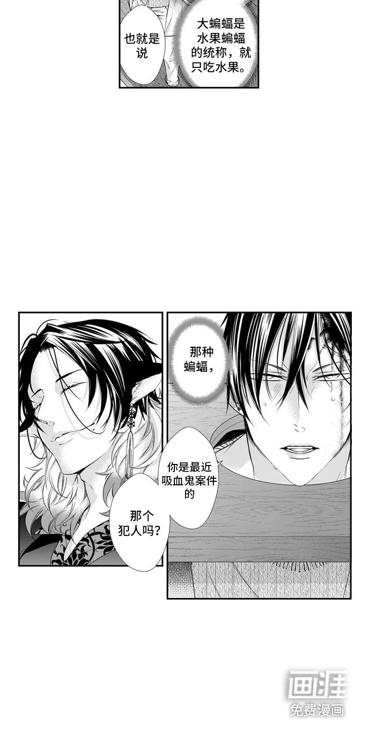 第11章：真相